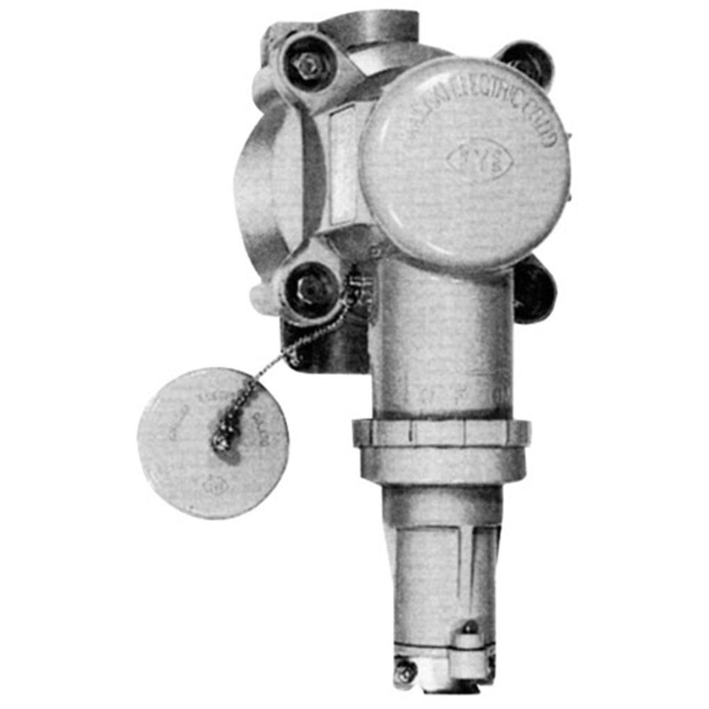 掛軸 田中蘭石 山女 木箱 魚 笹 川 水 2-16 掛軸 田中蘭石 山女 木箱