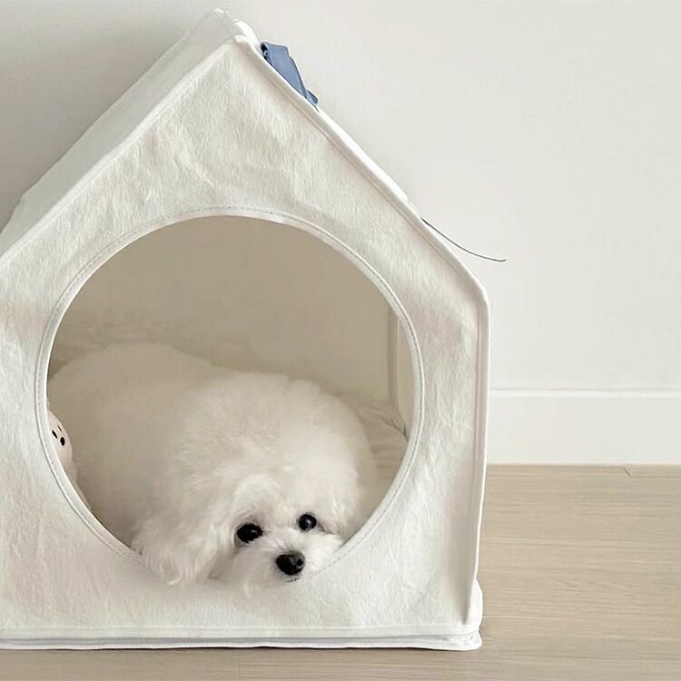 窓あり