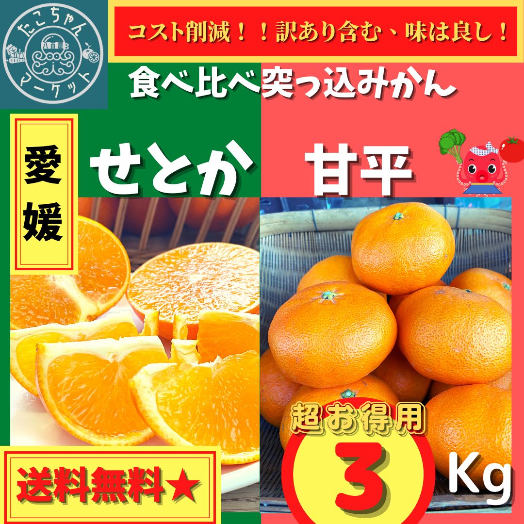 ☆大特価 甘平 10kg - 果物