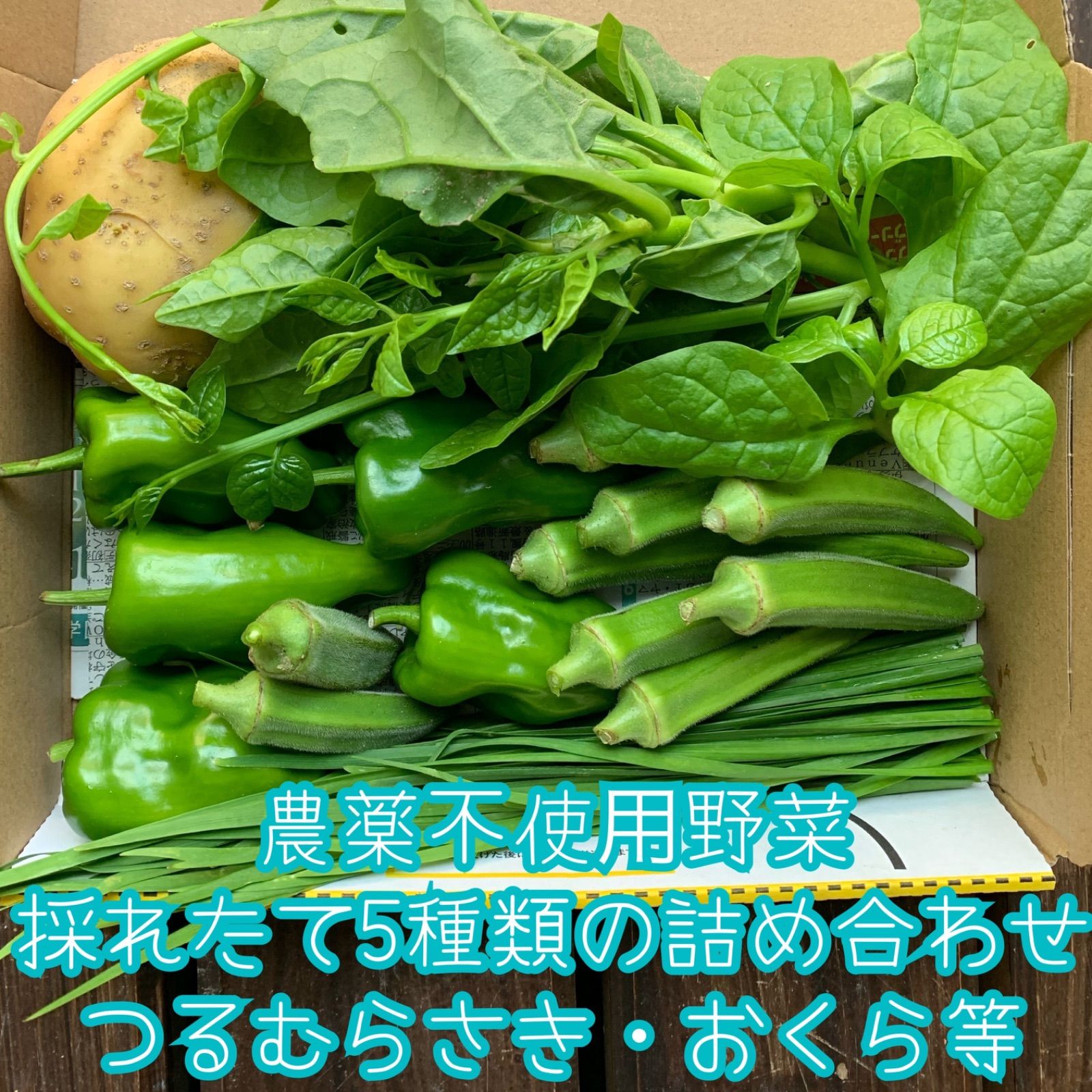 メルカリshops Shop限定価格 農薬不使用野菜 採れたて5種類の詰め合せ 野菜セット コンパク