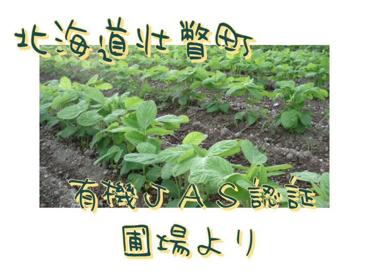 化学肥料 除草剤不使用