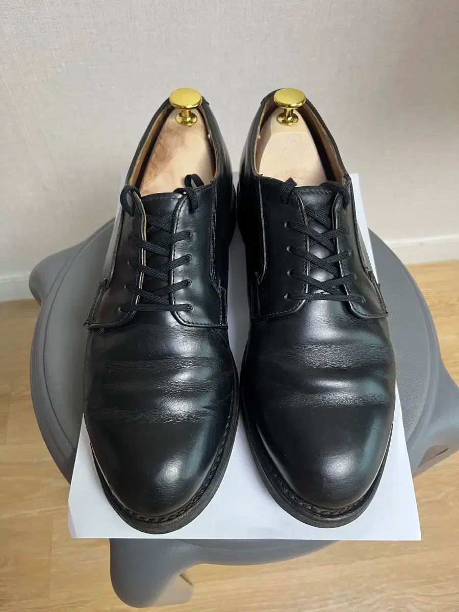 RED WING レッドウィング 郵便配達員 101 8D 260