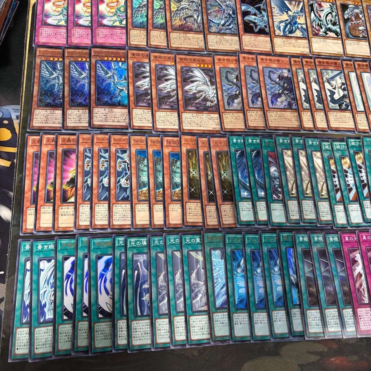 大会優勝ガチ構築済みデッキ 遊戯王 青眼 青眼の白龍 ブルー