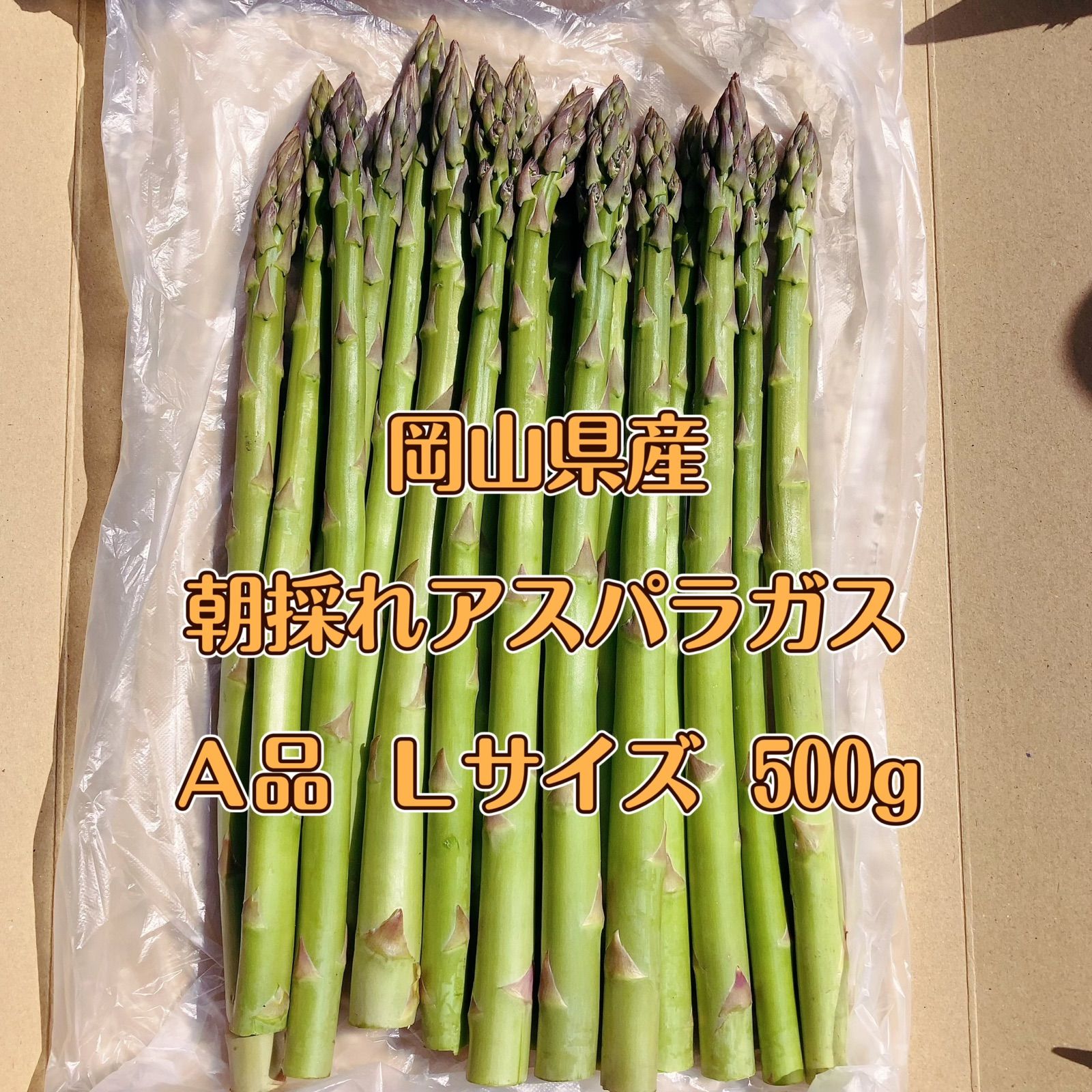 アスパラガス 新鮮 A品Lサイズ 500g - 野菜