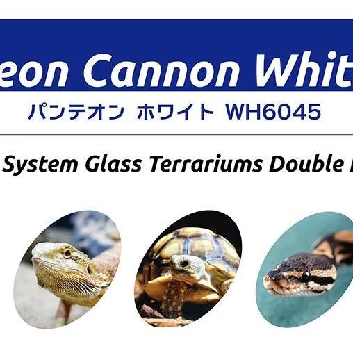ＷＨ６０４５ み