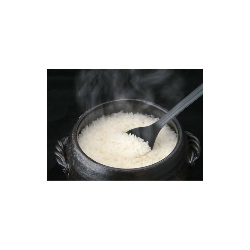 三鈴陶器 ごはん鍋 ご飯土鍋 7合炊き 四日市 万古焼 1 SKLAD-KIRPICHA_RU