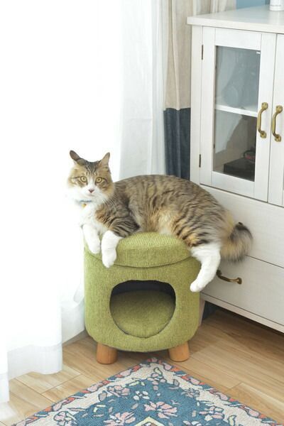 AZUMAYA ペットスツール PET-61GR 完成品 W33×D33×H41 送料無料