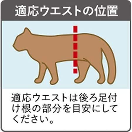 38枚 ×3個