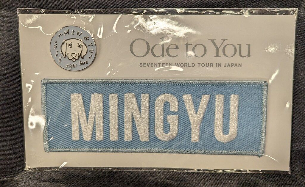 SEVENTEEN ワッペンバッジ ＆ ピンバッジセット ミンギュ ワッペン