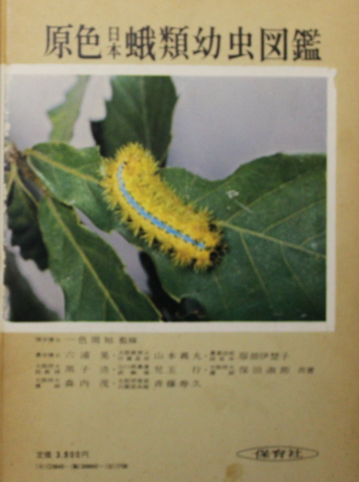 原色日本蛾類幼虫図鑑 下 (保育社の原色図鑑 47)