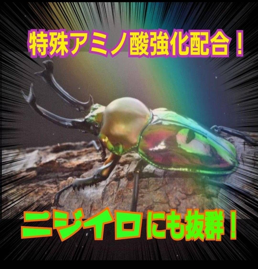 極上！ヒマラヤひらたけ菌糸ブロック【6個】トレハロース強化配合