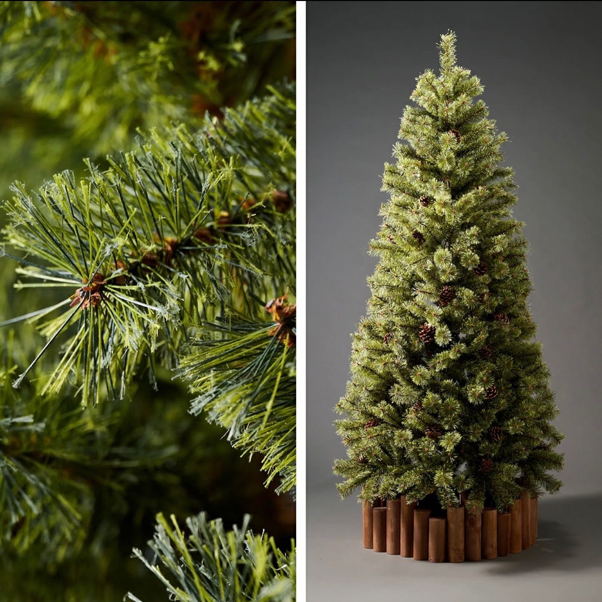 210cm 豊富な枝数