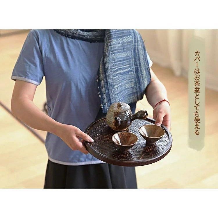 清涼。送料込み。。山採りハイノキ。 特大サイズの自然樹形 山採り株