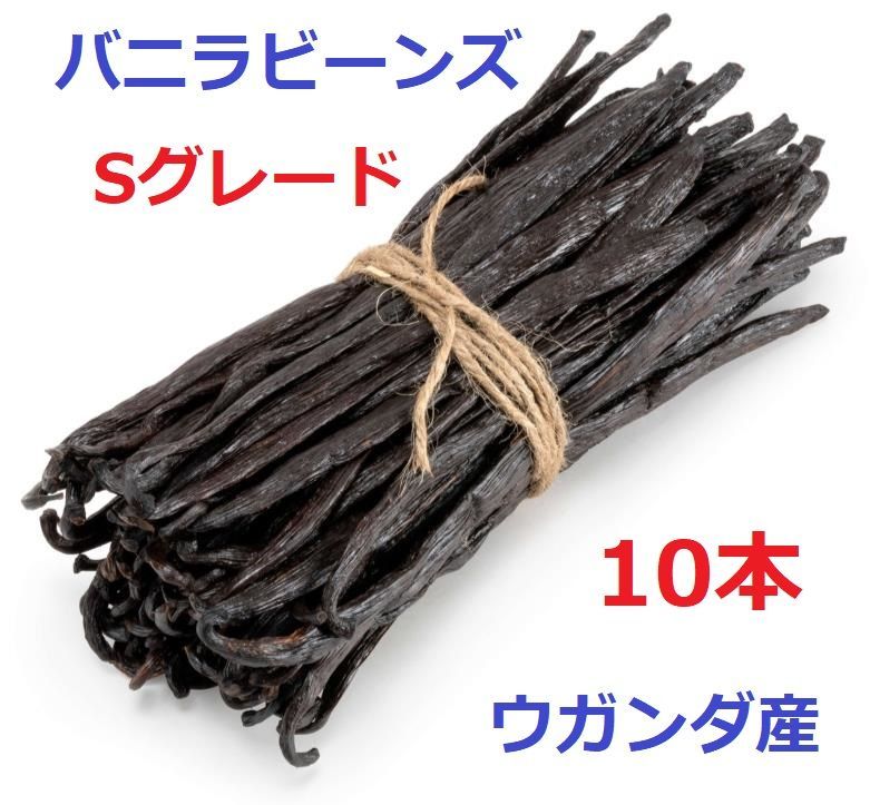 バニラビーンズマダガスカル産Aグレード17cm 500g入り（150本前後）