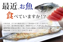 【公式】【シードコムス】【サプリメント】【健康食品】オメガ3　DHA　EPA　約1ヵ月分　オメガ3　α-リノレン酸　不飽和脂肪酸　亜麻仁油　エゴマ油配合