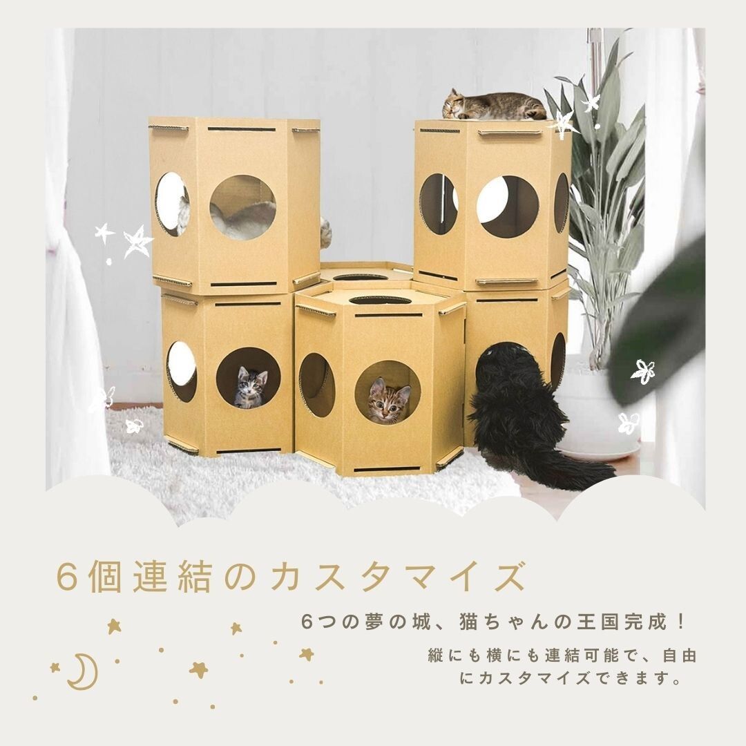 キャットハウス