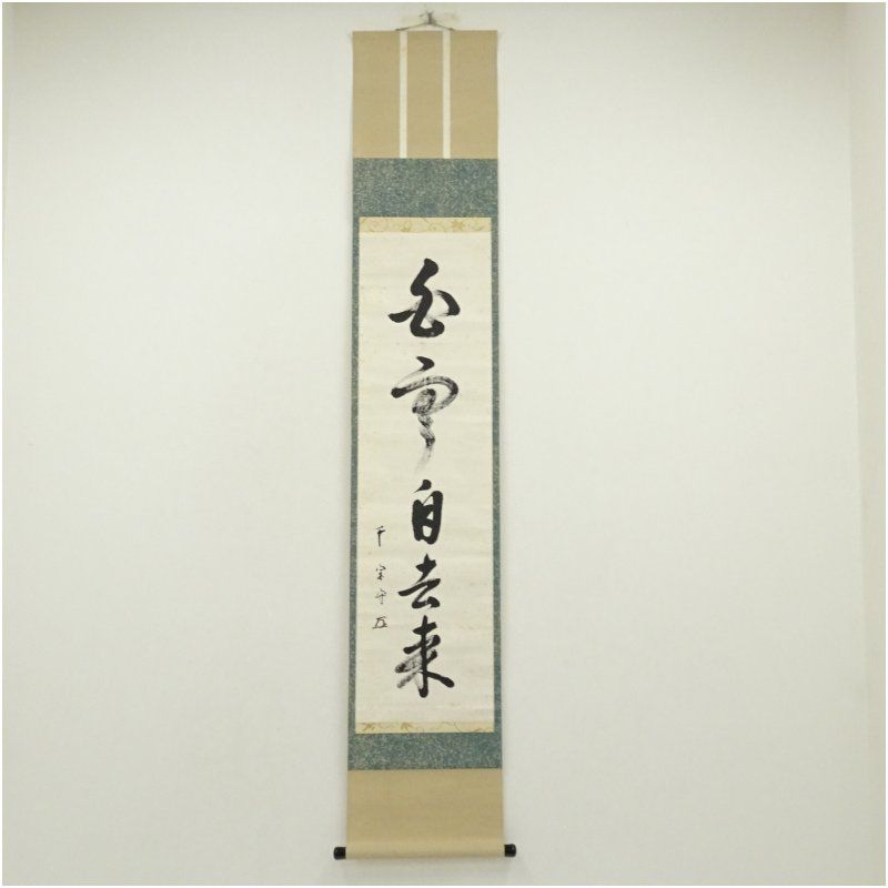武者小路千家 十三代 有隣斎筆 白雲自去来 一行書 肉筆紙本掛軸 掛け軸 床の間 書 おしゃれ 絵画 表具 芸術 茶道 年中掛け インテリア 茶掛 掛物 和室 8月 12月 7月 夏冬