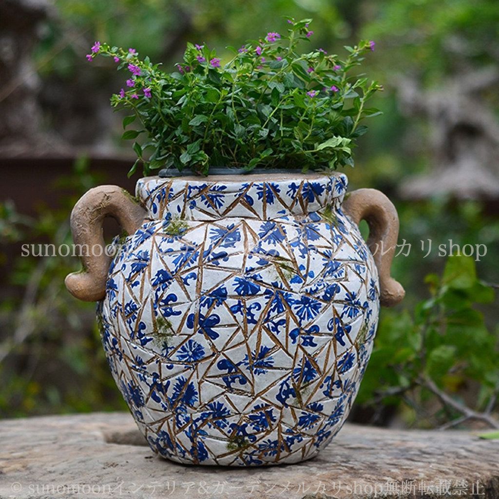 糸魚川真柏 小品盆栽 齢35年 樹高21cm ジンシャリ【五葉松/赤松/黒松