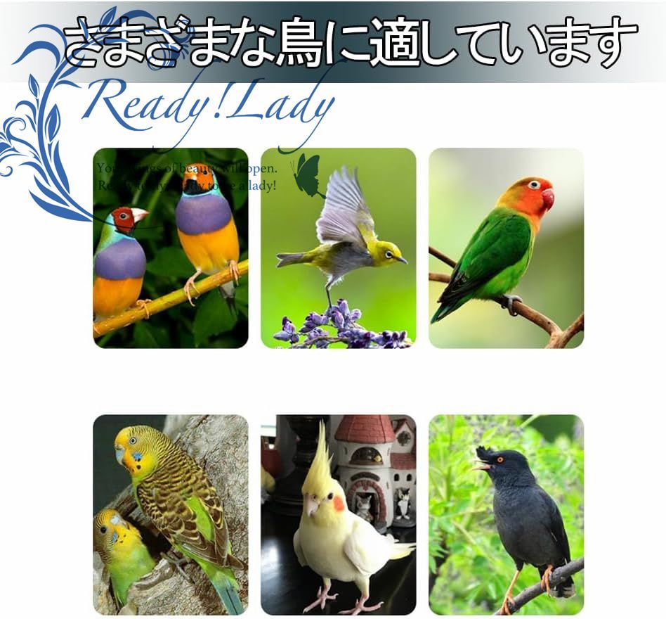 鳥かご