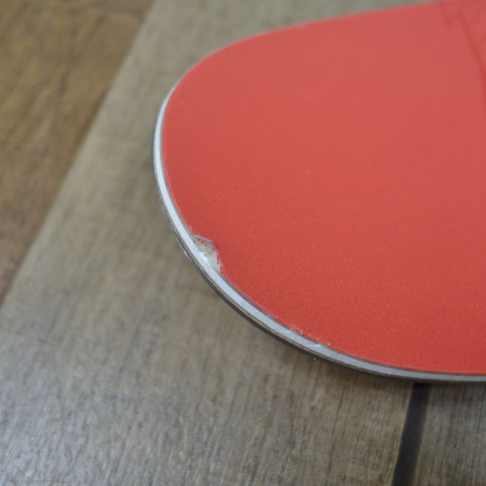 マジェスティ Majesty Local Beauty 150cm ビンディング MARKER SQUIRE11 2019 ローカルビューティー スクワイヤ スキー アウトドア マジェスティ Majesty Local Beauty 150cm ビンディング MARKER