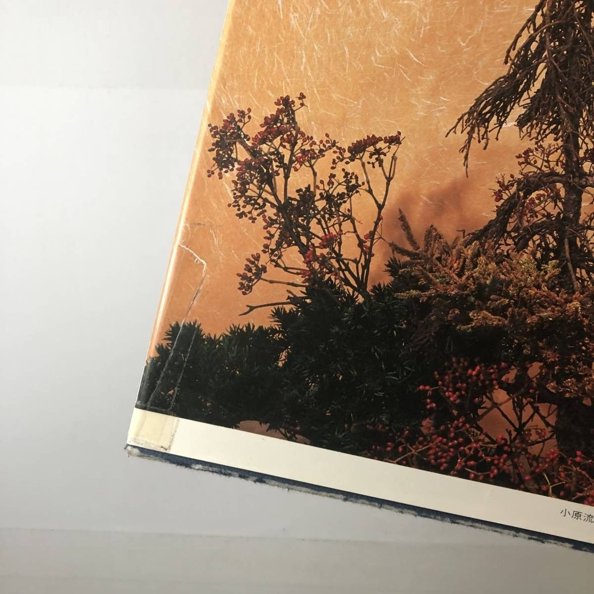 美品 小原流 小原豊雲作品集