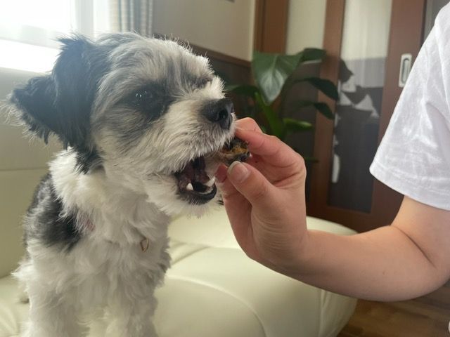 うなぎ頭