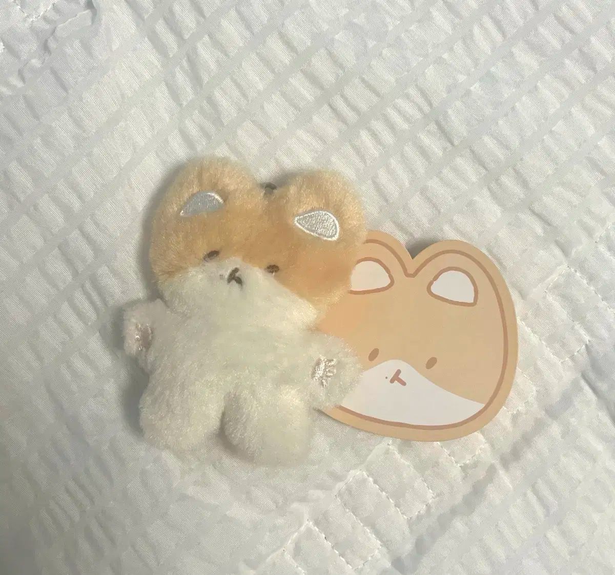 ベッキョン トレギ Baekhyun Teolaegi 80センチぬいぐるみ 大王 トレギ