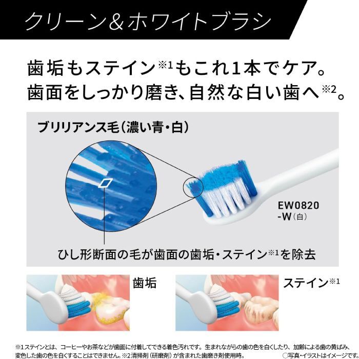 ドルツ Doltz