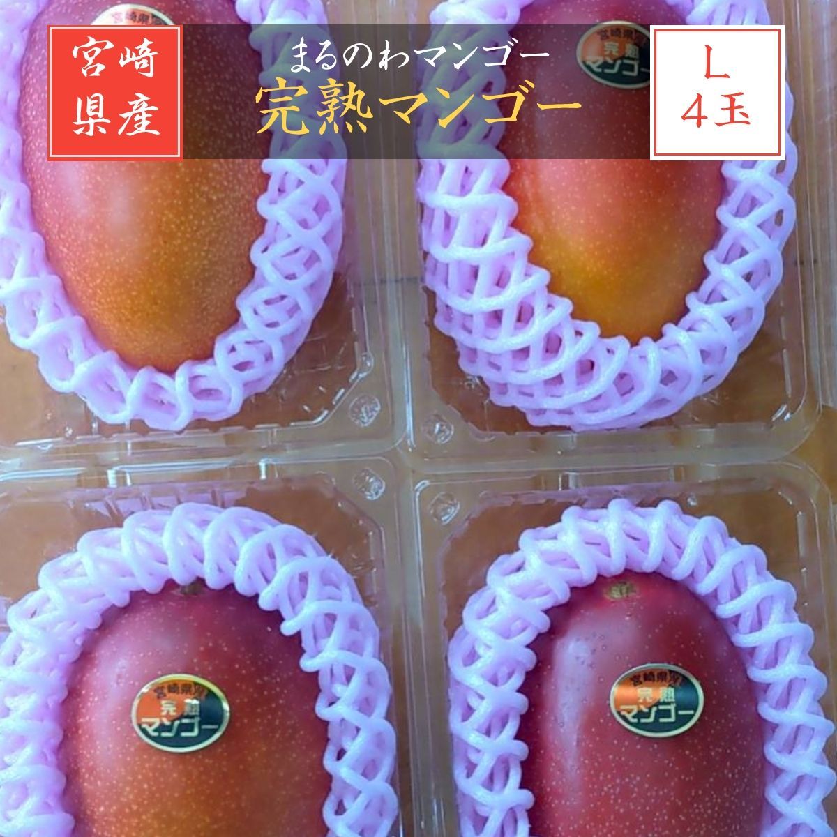 マンゴー まるのわマンゴー 完熟マンゴー L 4個 宮崎県宮崎市 5|上～5|中の出荷