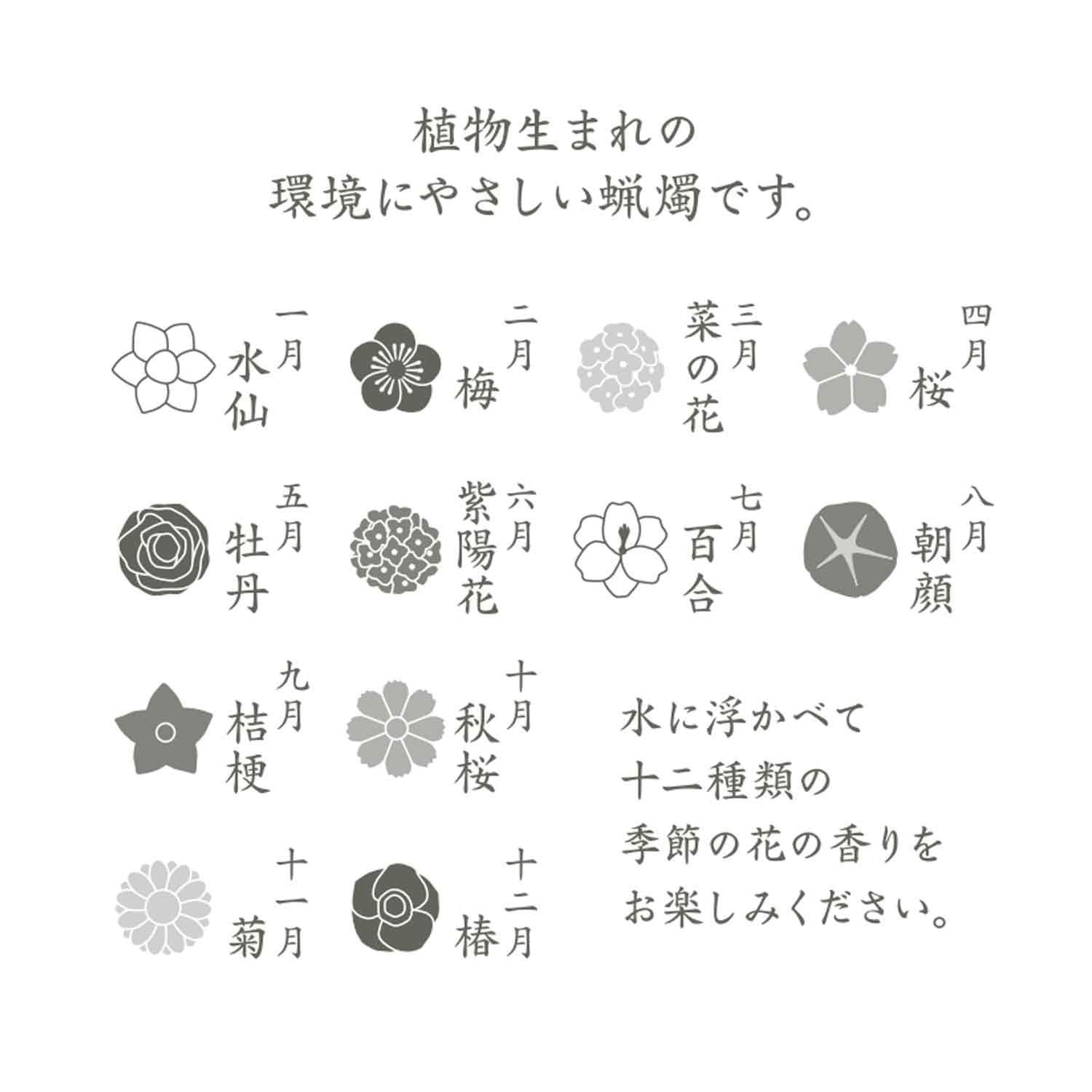 花づくしギフトセット 植物性