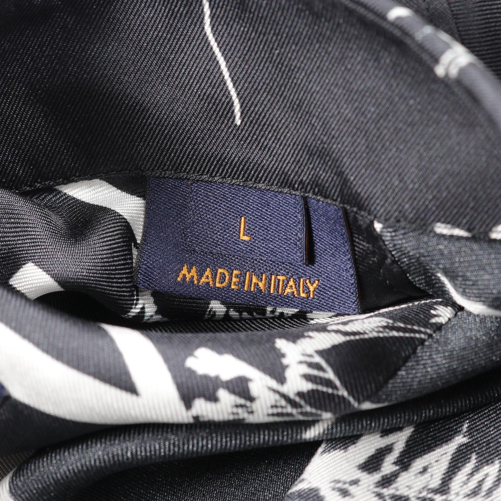 Astell&Kern A&futura SE100 美品 Astell&Kern SE100 Titan Silver 極