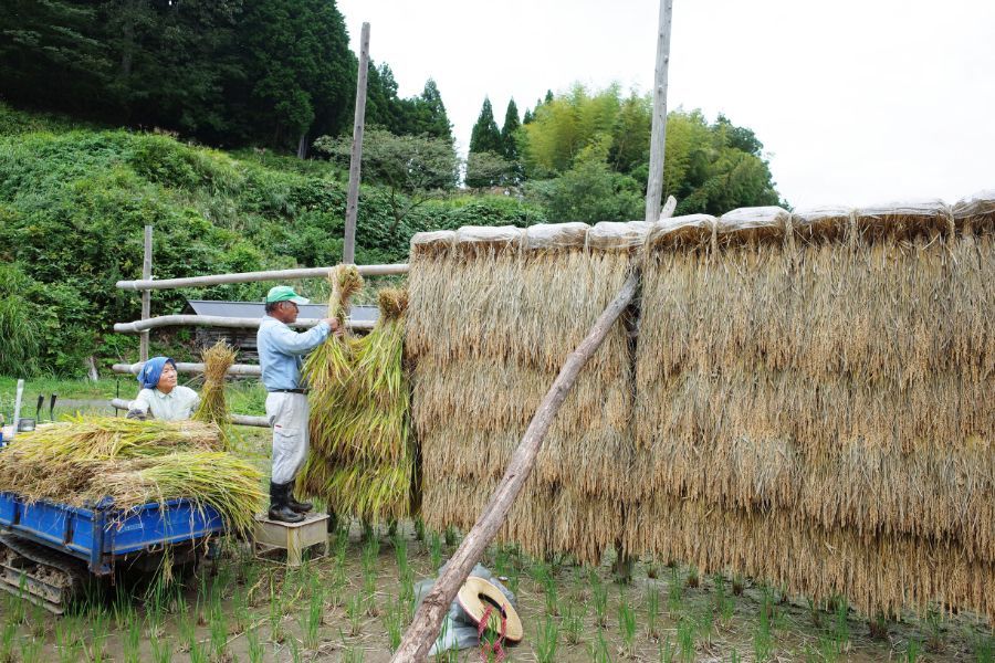 農家 響さん】（島根県仁多郡奥出雲町）の仁多米（減農薬・30kg