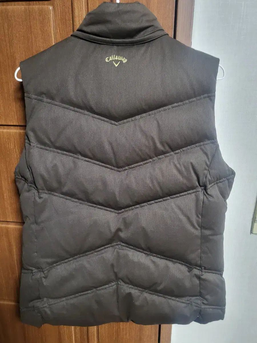 ダウンベスト 100