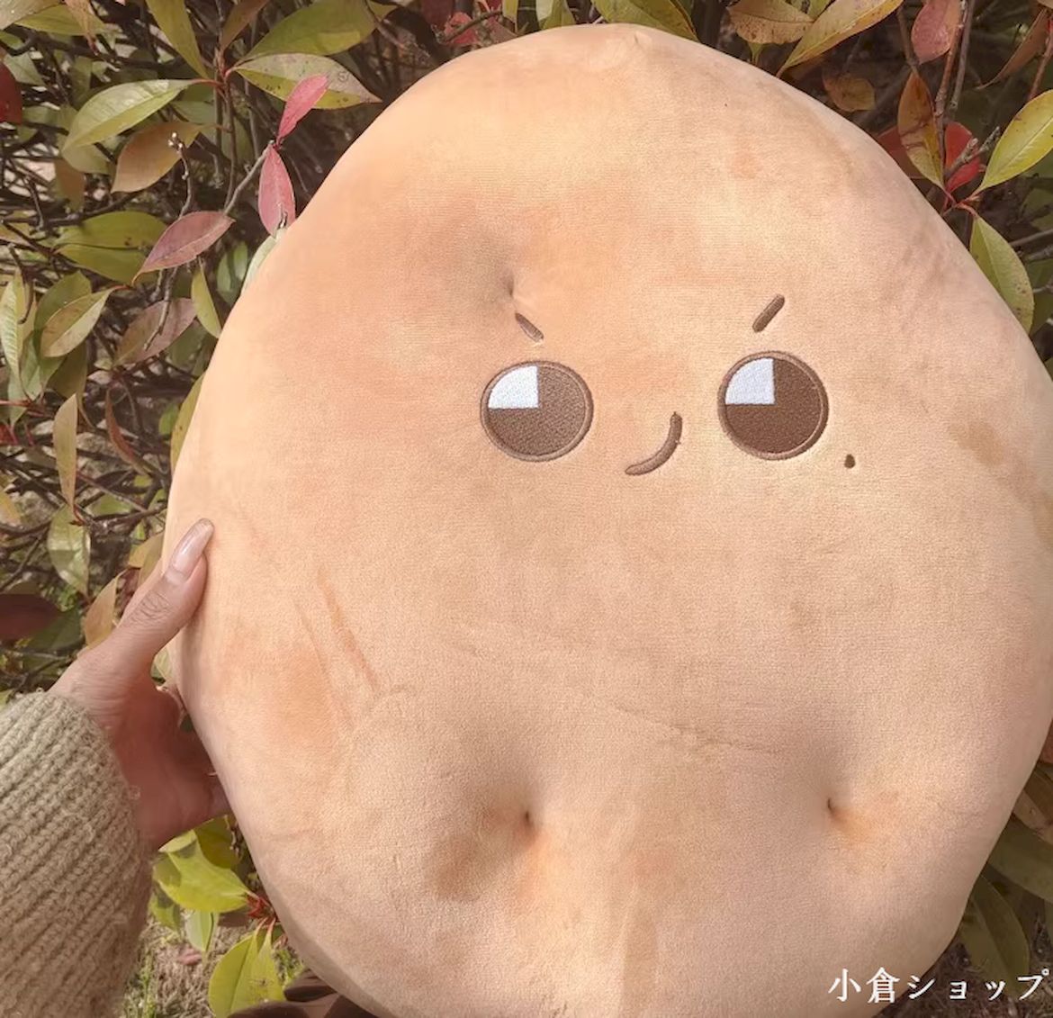 enhypen ジェイク　40cm ぬいぐるみ　新品　マスター enhypen ジェイク 40cm ぬいぐるみ 新品 マスター - メルカリ