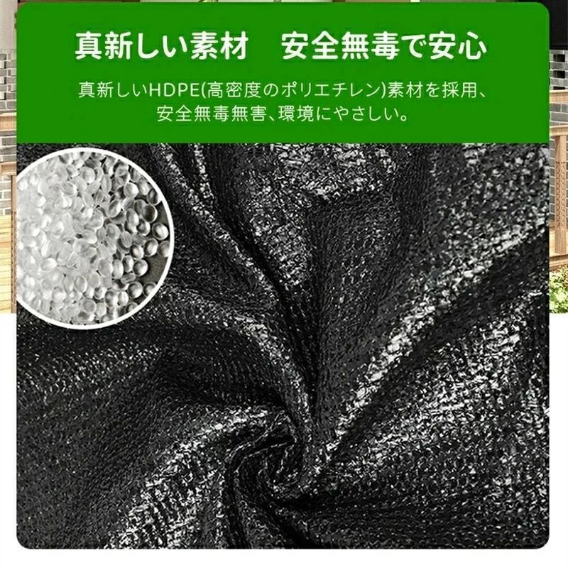 ストライプ グリーン