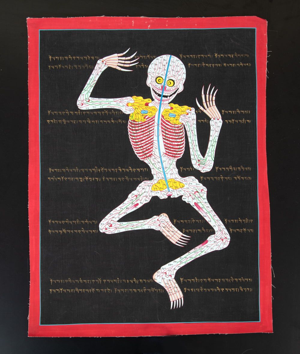 タンカ　チベット直筆人体図　ドクロ 一点物〕タンカ - チベット医学 人体経絡図[37x49cm] / タンカ