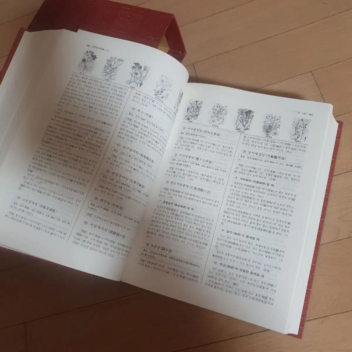 ドンボガム 完全版 ハードカバー版
