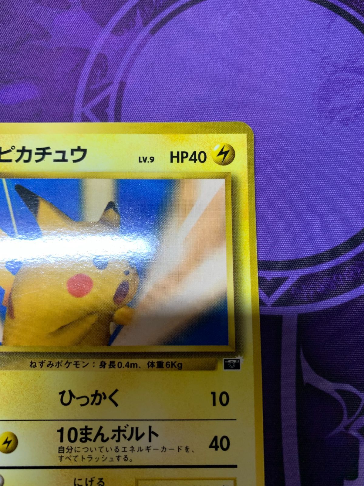 ポケモンカード　ピカチュウ　旧裏面　ポケモンスナップ　025 プロモ ポケモンカード ピカチュウ ポケモンスナップ 希少 旧裏面