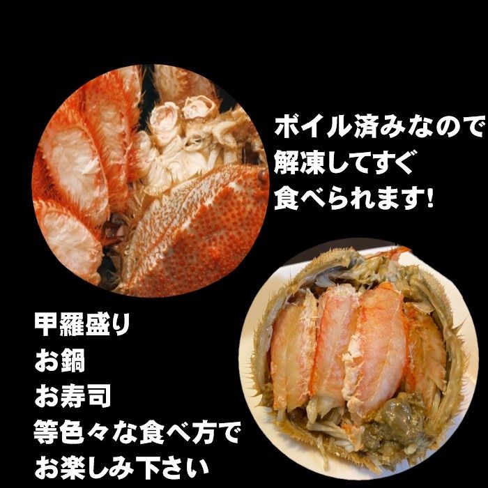 北海道産　毛蟹　2尾セット（1尾約300g） ボイル　冷凍　蟹　かに　毛がに-2