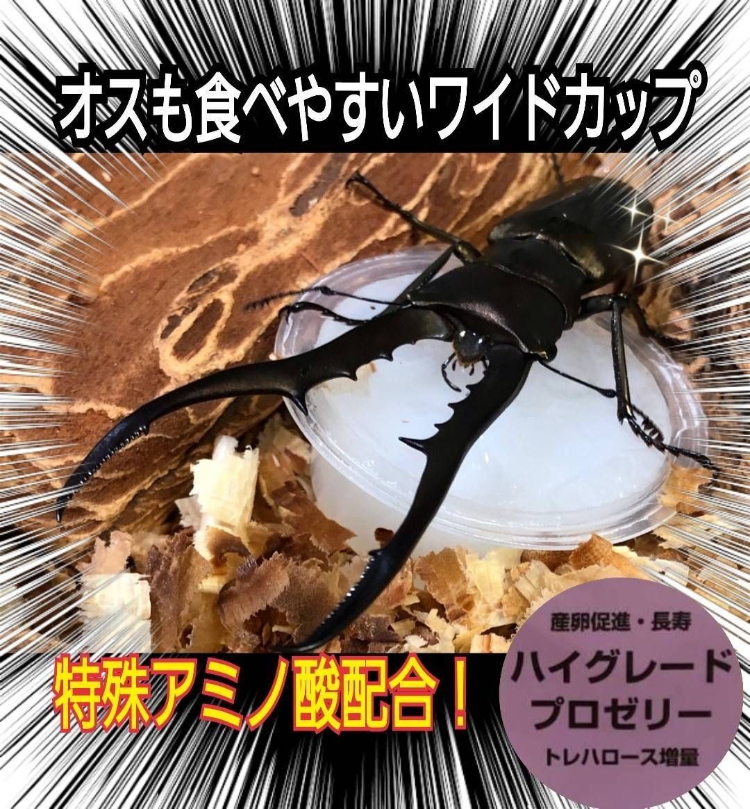 産卵促進