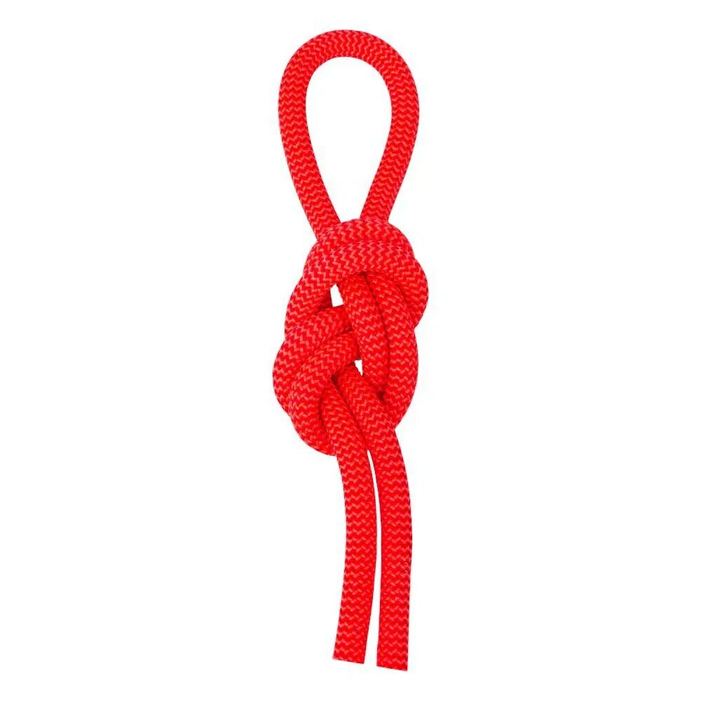 お取り寄せ ２～４週間で発送 サレワ レッド 9.6mm ロープ Red t WA Red 9.6 mm Rope t