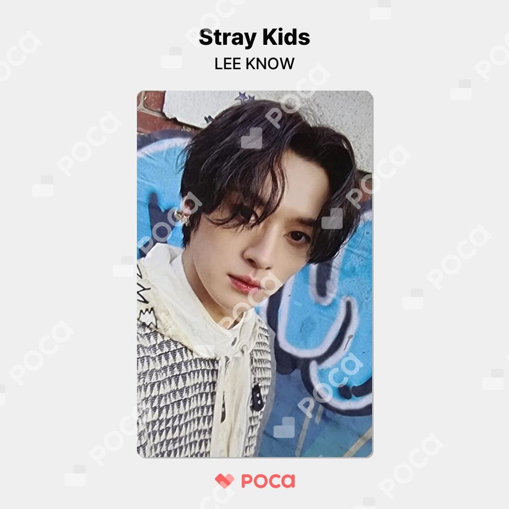 straykids リノ スキズ トレカ (5-STAR) APPLEMUSIC 特典 公式