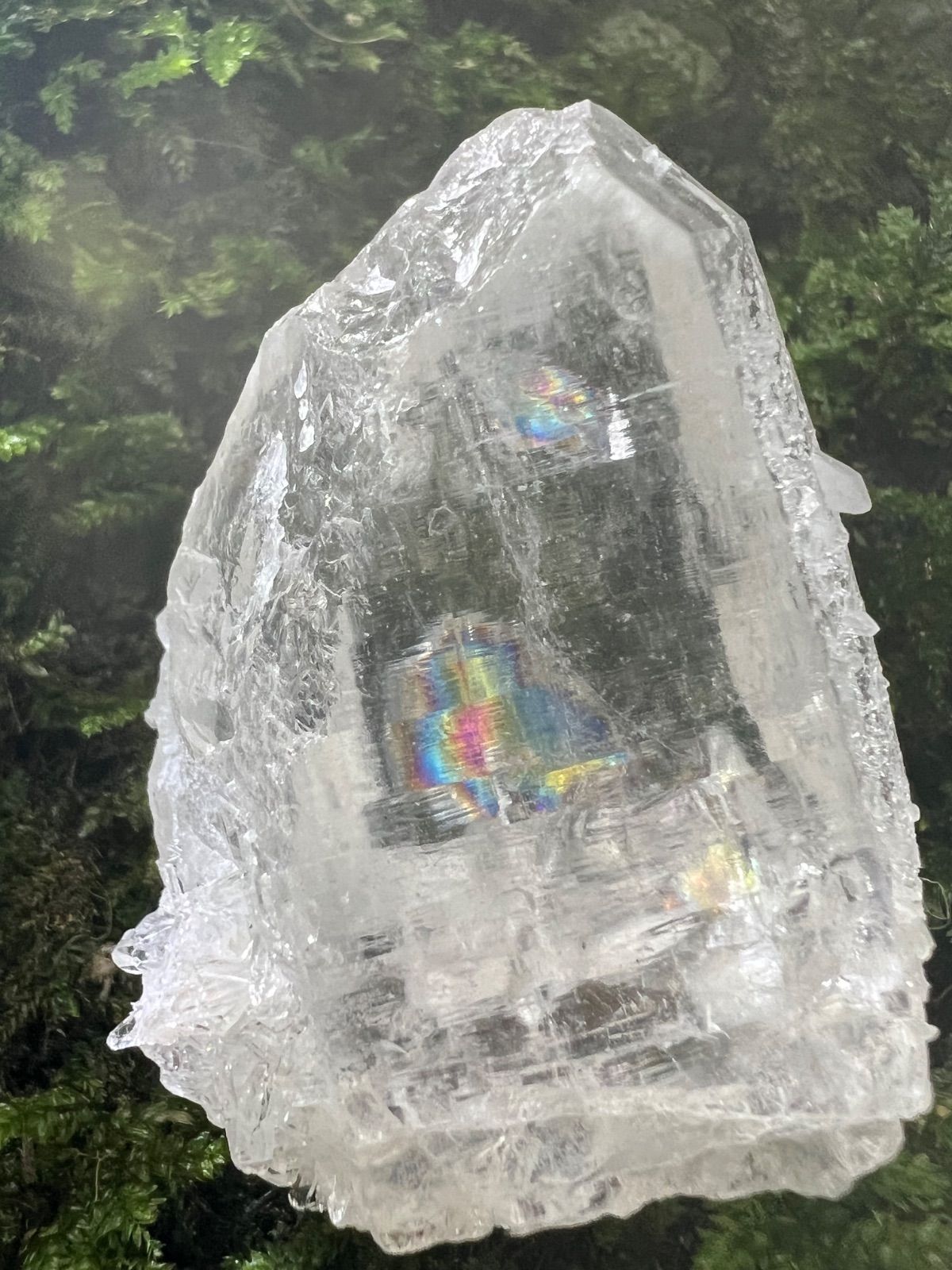 純白の守護と浄化の光 売上の一部は保護猫活動に使用