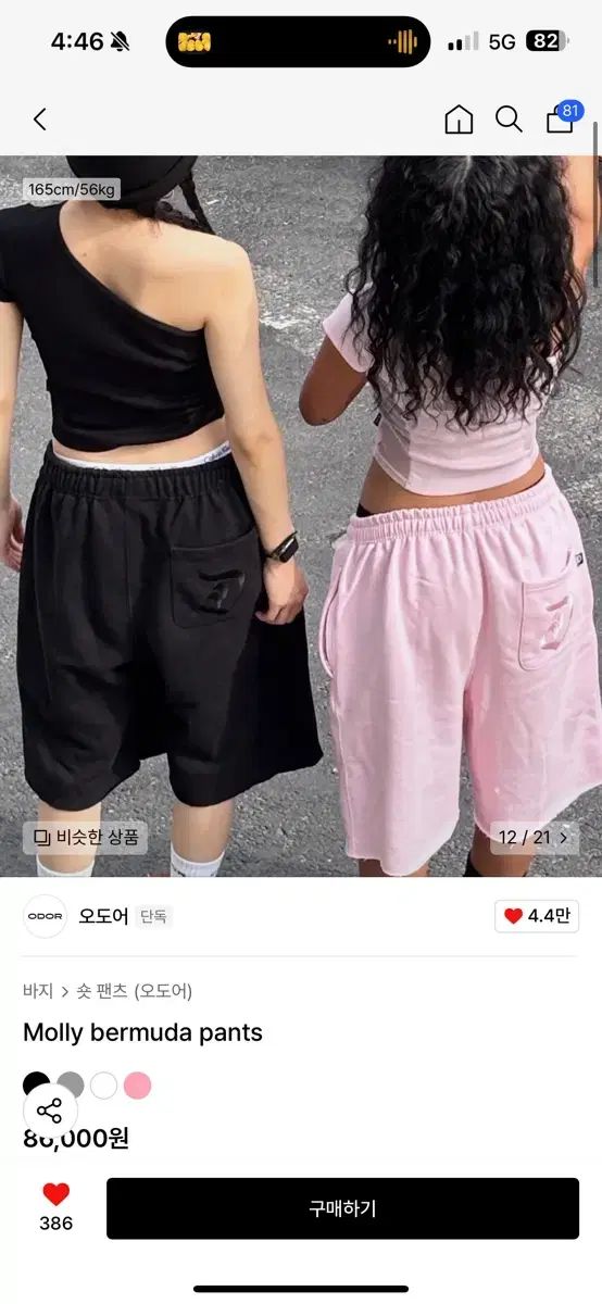 今日のみ セオドア モリー バミューダ パンツ Molly bermuda pants