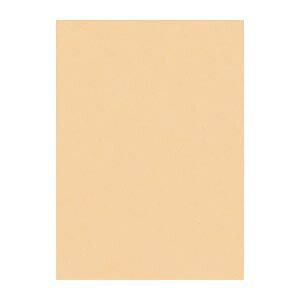 リンテック ニュー Ｒ 4 NCR-111 しらちゃ