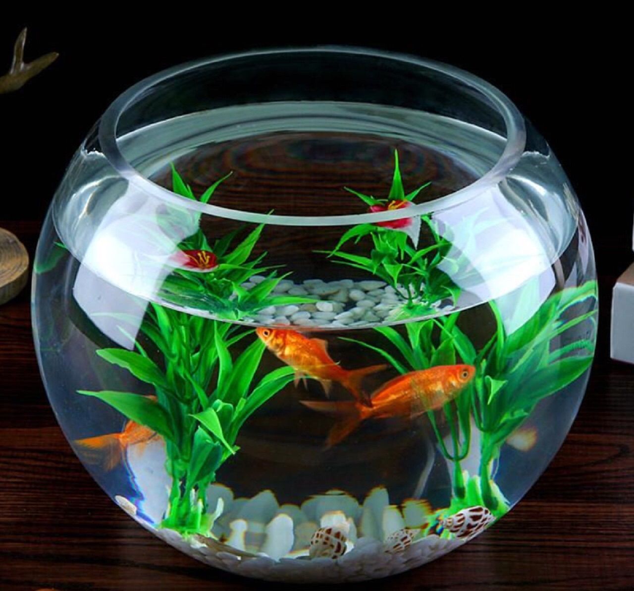 金魚鉢 ガラス テラリウム アクアリウム 花瓶 水槽 容器 ボウル