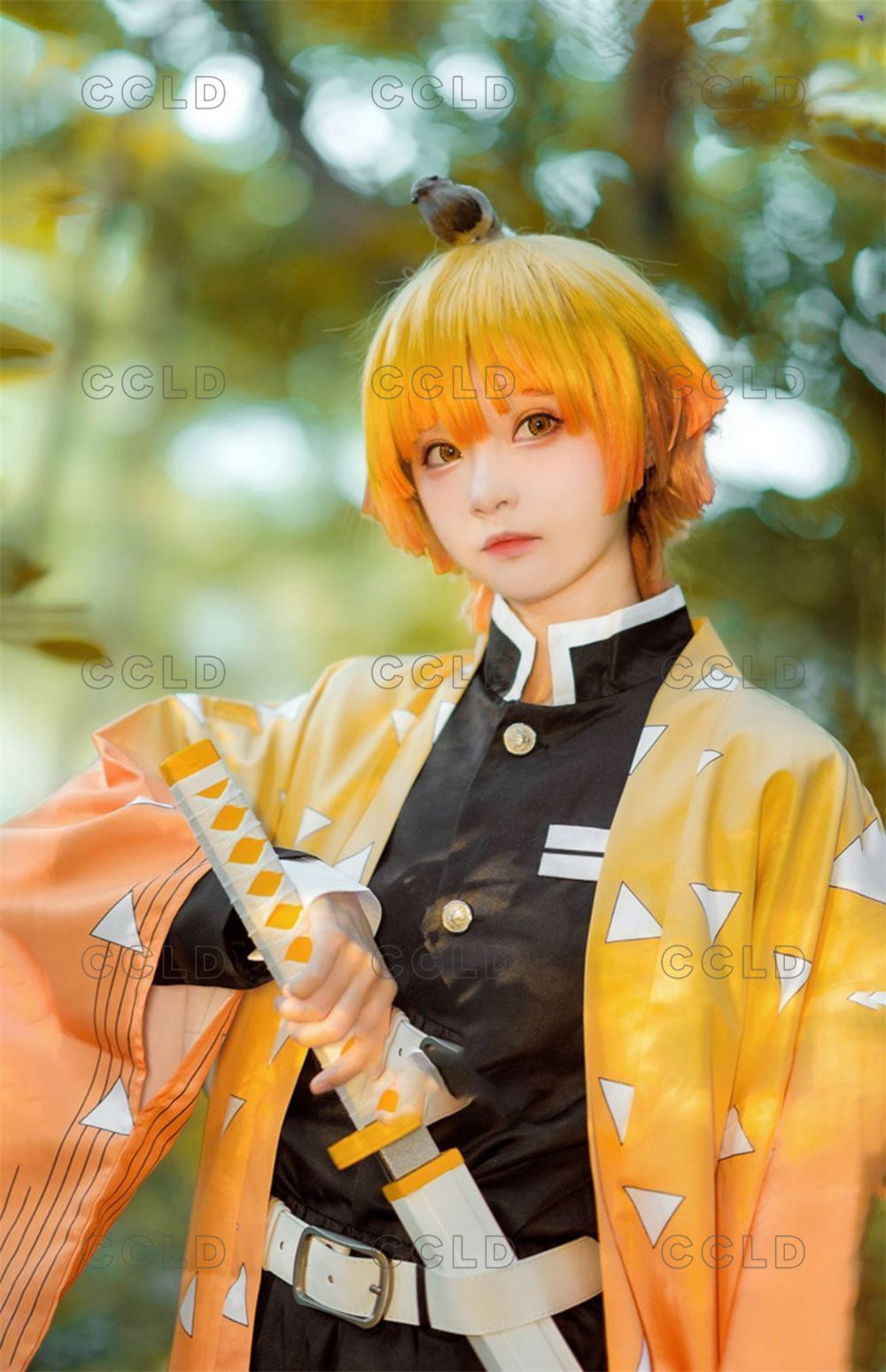 我妻 善逸】コスプレ 衣装セット 鬼滅の刃 ハロウィン セット