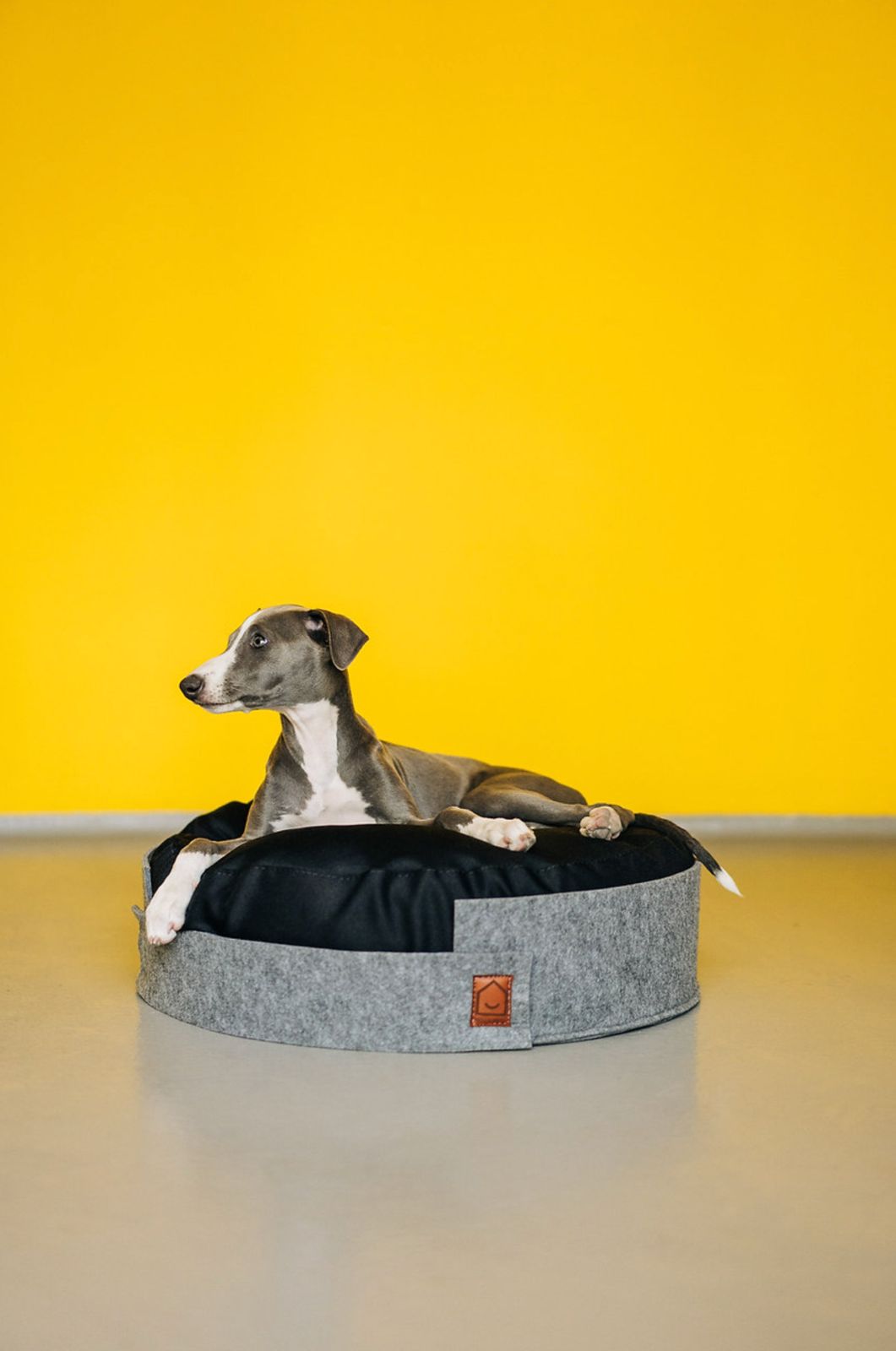 ♥ HELLO PETS Nap Bed 犬 ベッド 小型犬 猫 海外直輸入 ペットグッズ