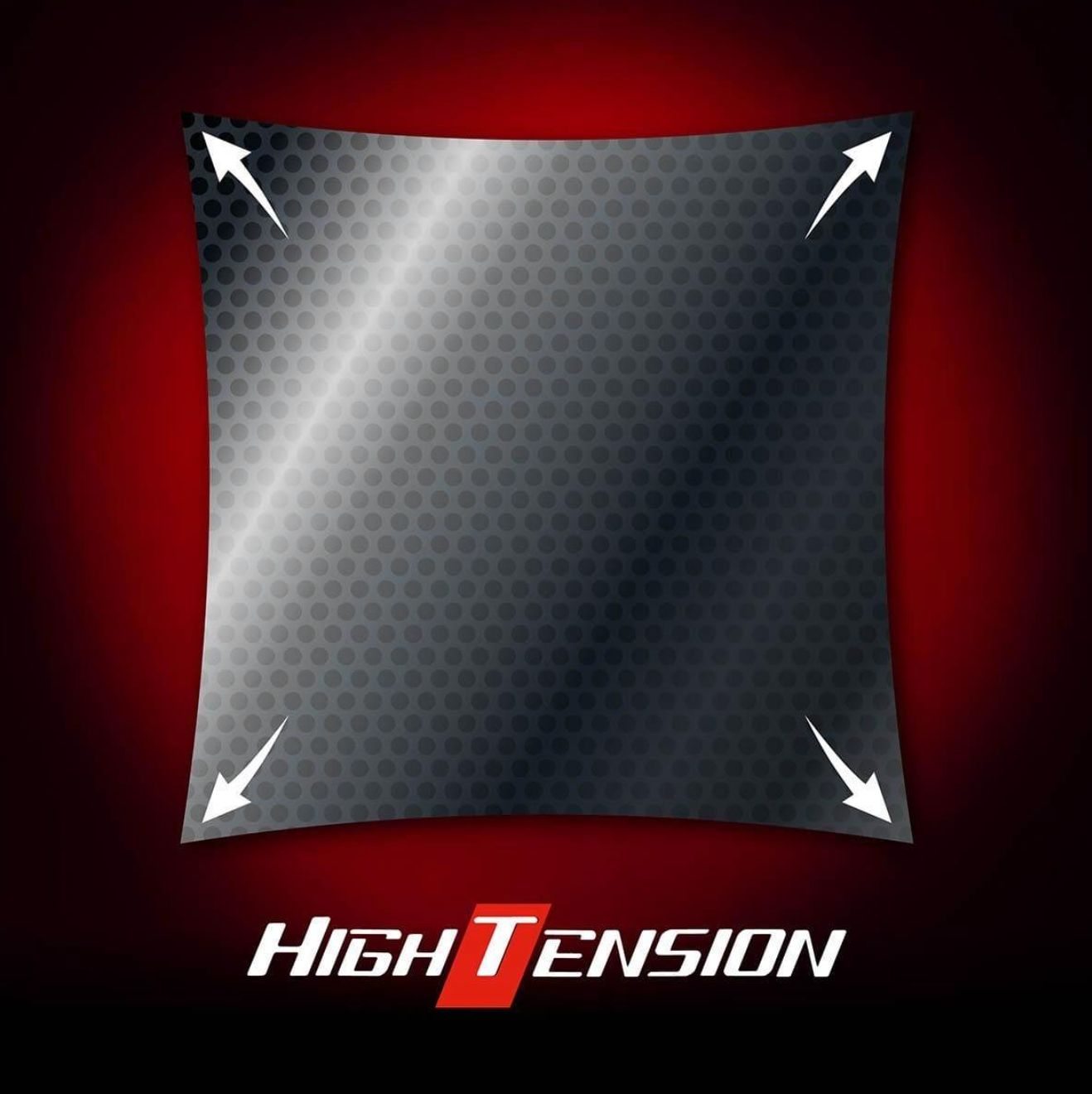  ディグニクス09 C バタフライ 卓球ラバー 粘着性ハイテンション裏ソフト 卓球用具 DIGNICS BUTTERFLY スポーツ ラバー 卓球