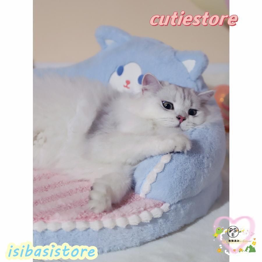 猫 犬